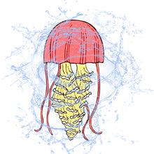 Load image into Gallery viewer, Waterproof Sea Life Vinyl Stickers Pack for Water Bottle Cooler Laptop (50Pcs Ocean Style)