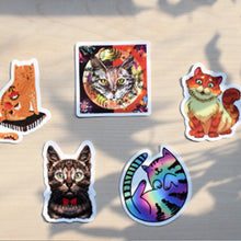 Load image into Gallery viewer, Cute Waterproof Cat Vinyl Stickers Bomb Laptop Water Bottle Folders (50Pcs/Pack)

