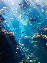 Load image into Gallery viewer, Waterproof Sea Life Vinyl Stickers Pack for Water Bottle Cooler Laptop (50Pcs Ocean Style)
