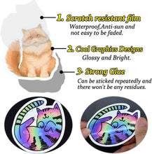 Load image into Gallery viewer, Cute Waterproof Cat Vinyl Stickers Bomb Laptop Water Bottle Folders (50Pcs/Pack)
